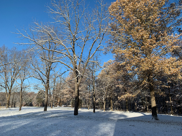 From our country place in Missouri we wish you a "Blessed Christmas & Happy 2020"